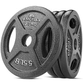 2.5 kg weight plates